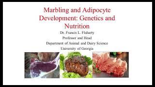 Marbling in Beef Cattle, the Result of Genetics and Proper Nutrition