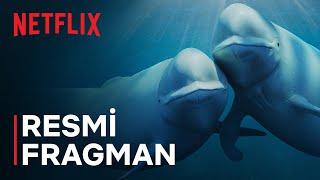 Okyanuslarımız | Barack Obama | Resmi Fragman | Netflix