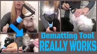 DeMatting Grooming Tool for Dogs & Cats by Oneisall Review! ONE YEAR Guarantee!