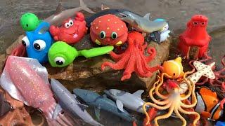 Sea Animal Toys for Kids - Fun and Educational Play