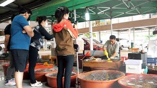 Amazing seafood master who slices fish at the speed of light / Korean street food