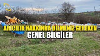 Arıcılık Hakkında Bilmeniz Gereken Temel Bilgiler! - A'dan Z'ye Arıcılık