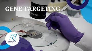 Gene Targeting at the Babraham Institute | Explore our Science Facilities