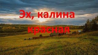 Эх, калина красная  #Созданиевидео #МаргаритаЗемцова