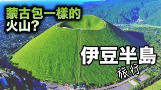 日本關東地區的風景旅遊勝地--伊豆半島,富士火山帶南北貫通，以溫泉和海景而出名!