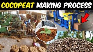 Industrial Production of COCOPEAT | Coco Peat Manufacturing Process