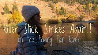 Dry Fly Fishing:  The Frying Pan River