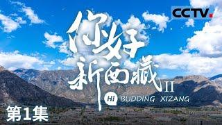 《你好 新西藏》第二季 高原守护者与追梦人：羌塘保护区的故事与西藏自行车手的征程 EP01【CCTV纪录】