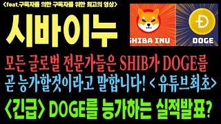 시바이누 시바이누코인 시바이누코인전망 SHIB DOGE 트럼프 일론머스크 코인전망 비트코인 이더리움 도지코인