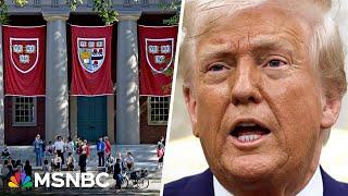 Stakes are 'tremendous' for democracy: Harvard professor says Trump acting as an 'authoritarian'