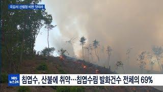 산림청 국감, 산사태·태양광 관리부실 ‘도마위’