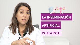 Proceso de la inseminación artificial paso a paso