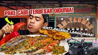 NASI PADANG 5 ekor IKAN KEMBUNG BALADO DARI NASI PADANG LANGGANAN TANBOY KUN!