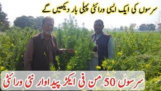 Mustard Cultivation | Sarson Ki Kasht | New Variety | Pakistan | Business Khulasa |