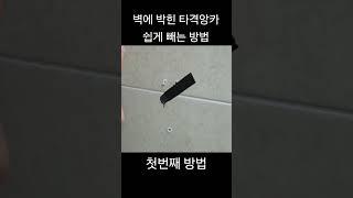 벽에 박힌 칼블럭 타격앙카 쉽게 제거하는 방법