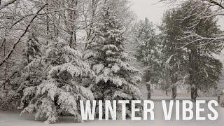 Winter Vibes - Mesmerizing Snow Visuals with Chill Music in Slow Motion