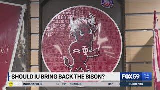 IU’s Bison mascot movement gaining steam in Bloomington