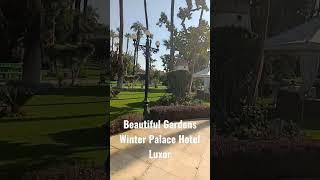 Winter Palace Garden Luxor @LifeJoyAdventureVlogs