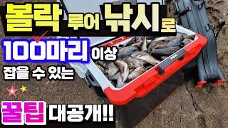 볼락루어 낚시하는 방법, 장비 그리고 핵꿀팁