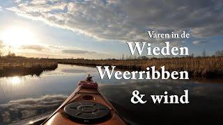 Wieden, Weerribben & wind - 3 days of solo wild camping