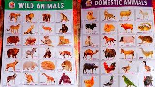 Domestic animals & Wild animals | Learn animals name