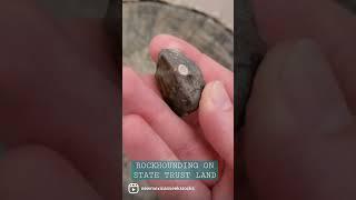 Rockhounding - State Trust land on the West Mesa #rocks #rockhound #thefinders #fossil #geology