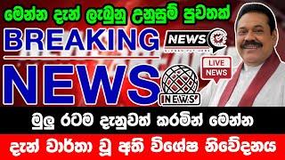 breaking news|election prediction srilanka news|hiru news|political news|hiru tv live|news 1st