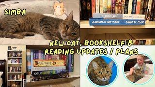 WE GOT A NEW CAT! + READING UPDATES, PLANS & NEW BOOKSHELF