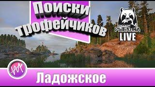 Ищем трофеи на Ладожском (Русская рыбалка 4)