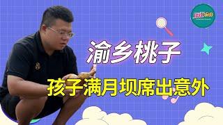 Yuxiang Taozi: Son's full moon wine dam seat exposed!