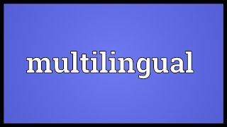 Multilingual Meaning