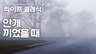 안개낀 아침 몽환적인 느낌의 클래식 피아노 | 몽롱한 | 꿈같은 | 릴렉스 |