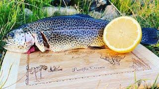 Trout Fishing Salmon River Idaho Part 3 (Catch And Cook)