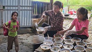 How did Vang Ly, Sung, and Mai cook a Snail Soup that had to be so Elaborate?