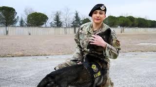 Powerful Female K-9 Team