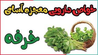 خواص خرفه ام اس و دیابت تا بارداری + معجزه فواید سبزی خرفه و طریقه مصرف