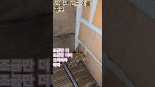 동행밴드의 새로운 이름을 공모 합니다.