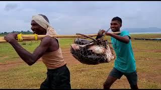 Dudhawa Reservoir | Blue Revolution-Fish Farming 