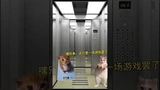 当你在电梯听到这首歌……#有趣 #故事 #貓 #猫猫meme小剧场 #猫meme #内容过于真实 #猫meme小剧场 #猫meme剧场 #喵不可言 #shorts