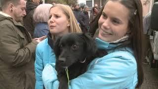 CasaAnimales Tiertransport nach inzlingen.