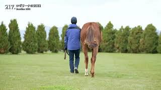 No.217 ロゼリーナの2022 [2023年7月10日JRHAセレクトセール 1歳上場馬]