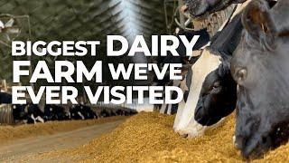 THE BIGGEST DAIRY FARM IN SOUTH AMERICA