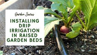 Installing Lee Valley Garden Row Watering Kit - Drip Irrigation in Garden Beds  | GARDEN SERIES