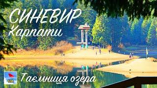 Озеро СИНЕВИР в Карпатах: містична легенда, туристичний огляд (з аудіогідом) | Україна