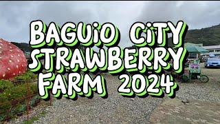 BAGUIO CITY STRAWBERRY FARM