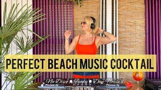 GET READY for the Perfect Beach Music Cocktail 2024!