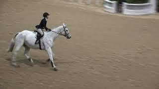 Video of COLLEEN GILMORE ridden by COLLEEN GILMORE from ShowNet!