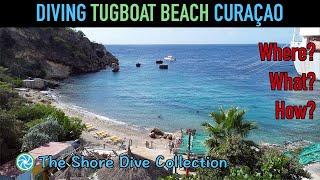 Diving Tugboat Beach Curaçao | The Shore Dive Collection | TropicLens   4K