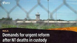 Coalition of Peaks demands urgent reform after deaths in custody | Nula | NITV