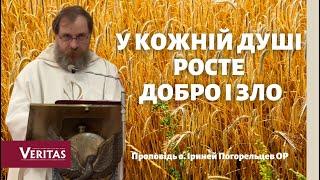 У кожній душі росте добро і зло. Проповідь  о. Іриней Погорельцев ОР